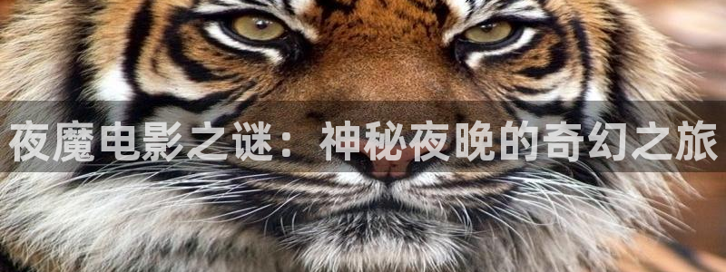 av午夜影片