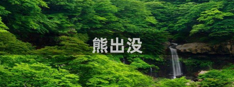 午夜影院福利在线