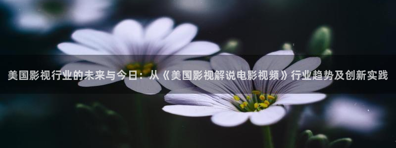 久久久午夜精品电影网