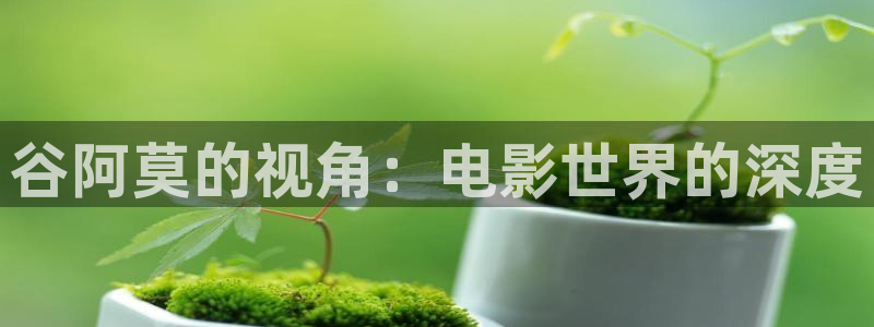 午夜 av 在线