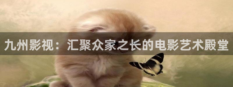 116午夜影院